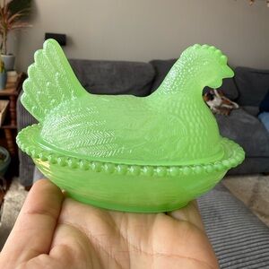 Jadeite green hen on a nest